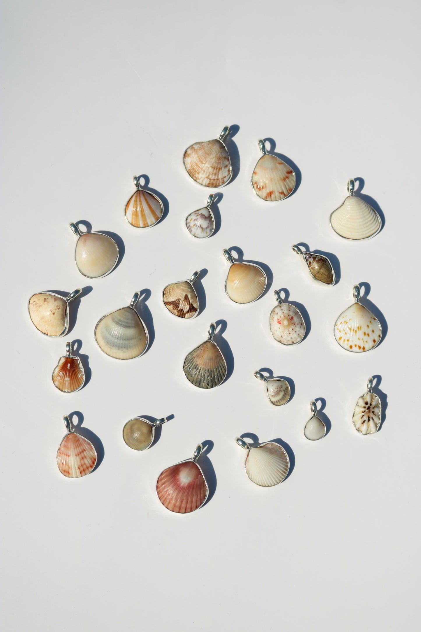 Shell Necklace