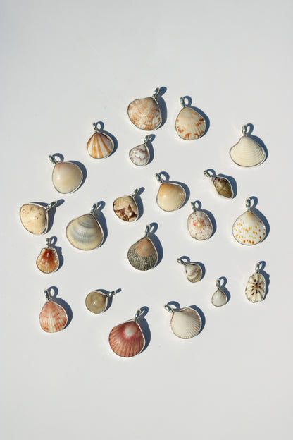 Shell Necklace