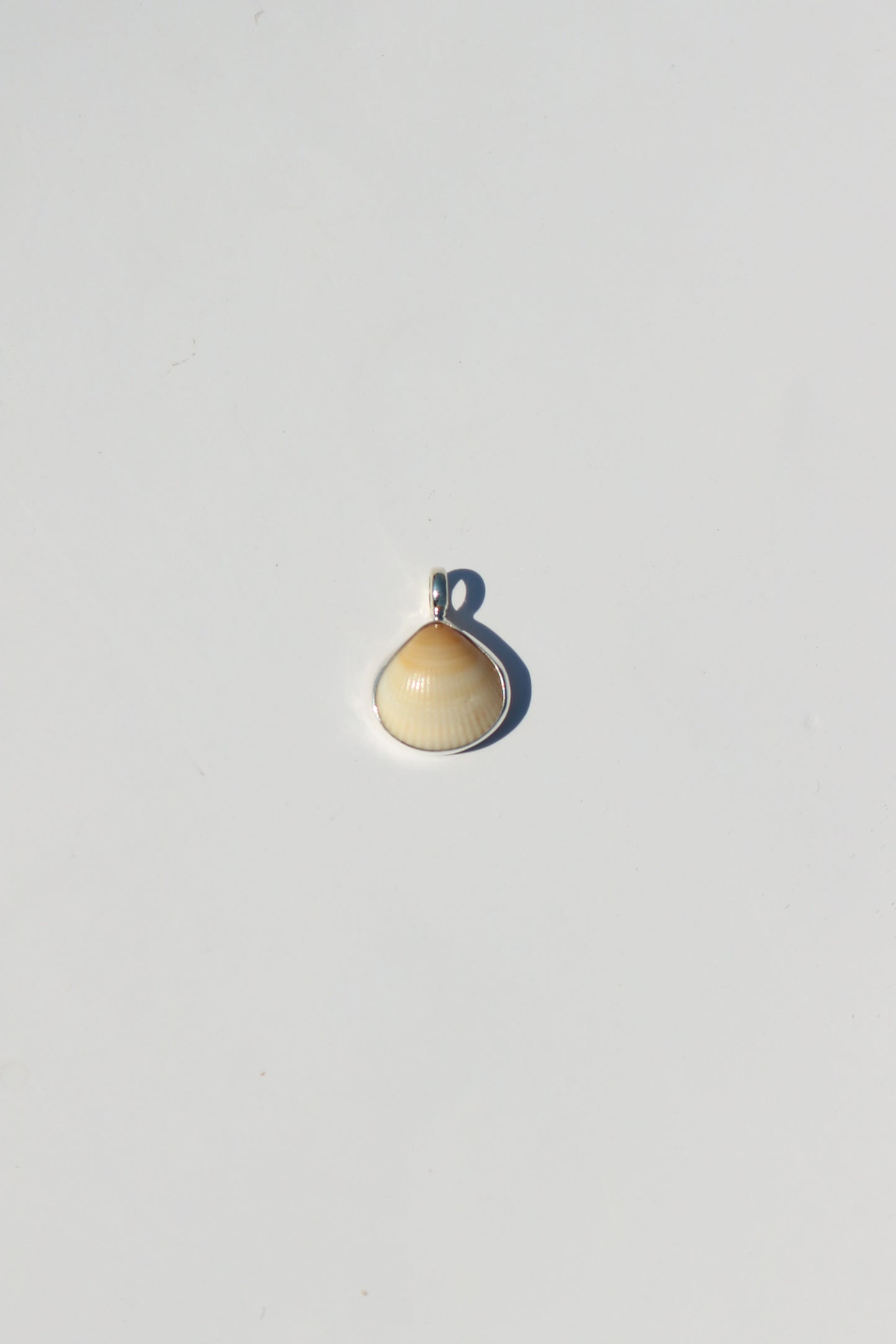 Shell Necklace
