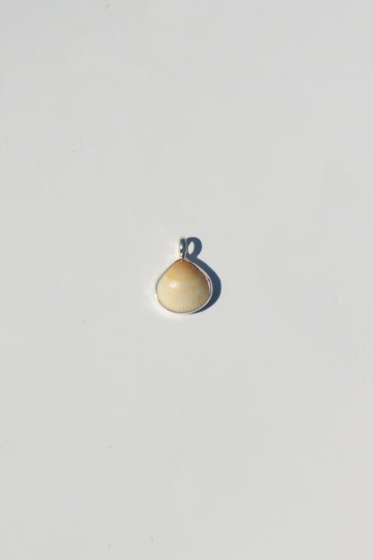 Shell Necklace
