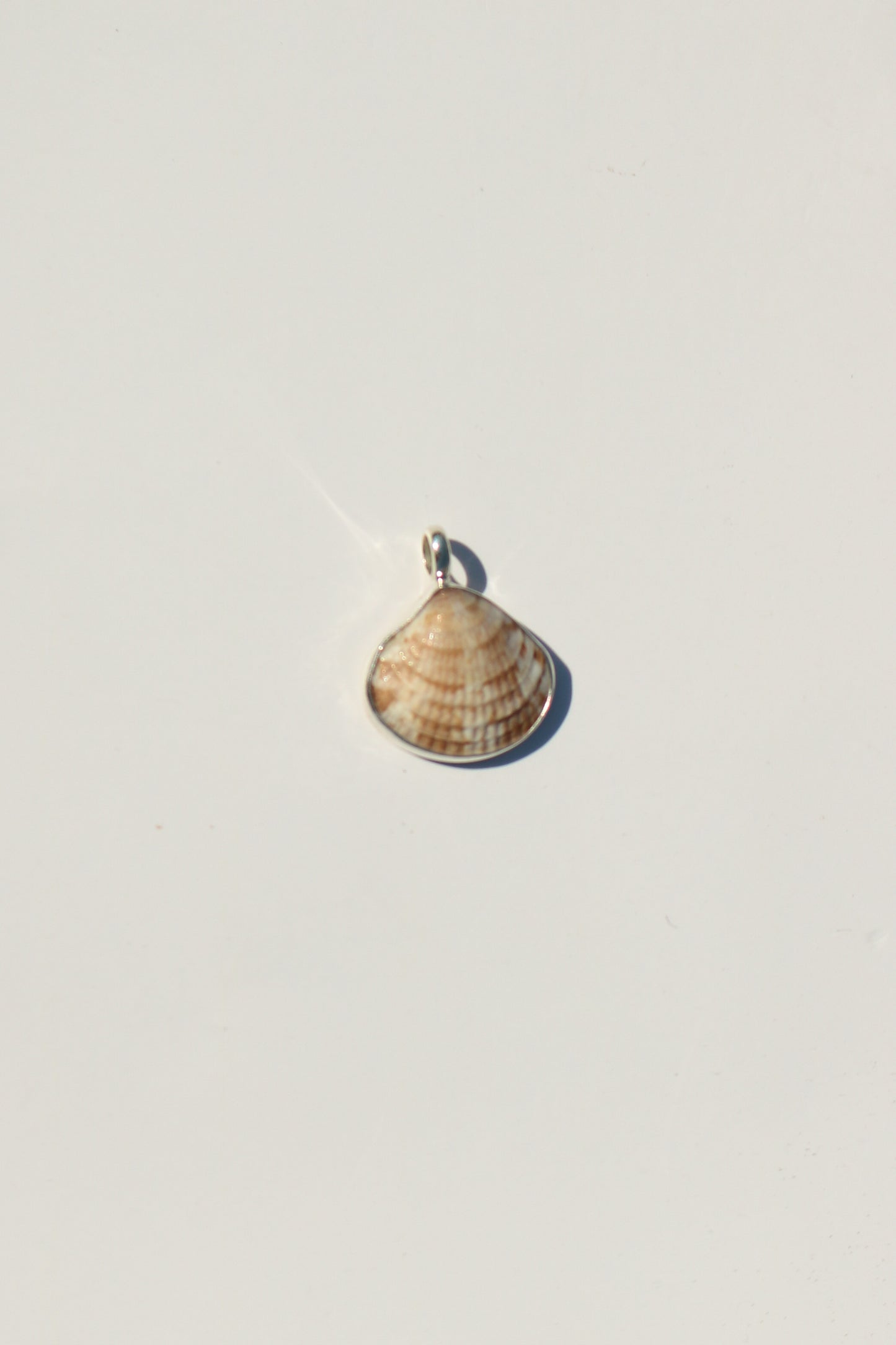Shell Necklace