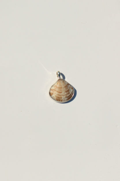 Shell Necklace