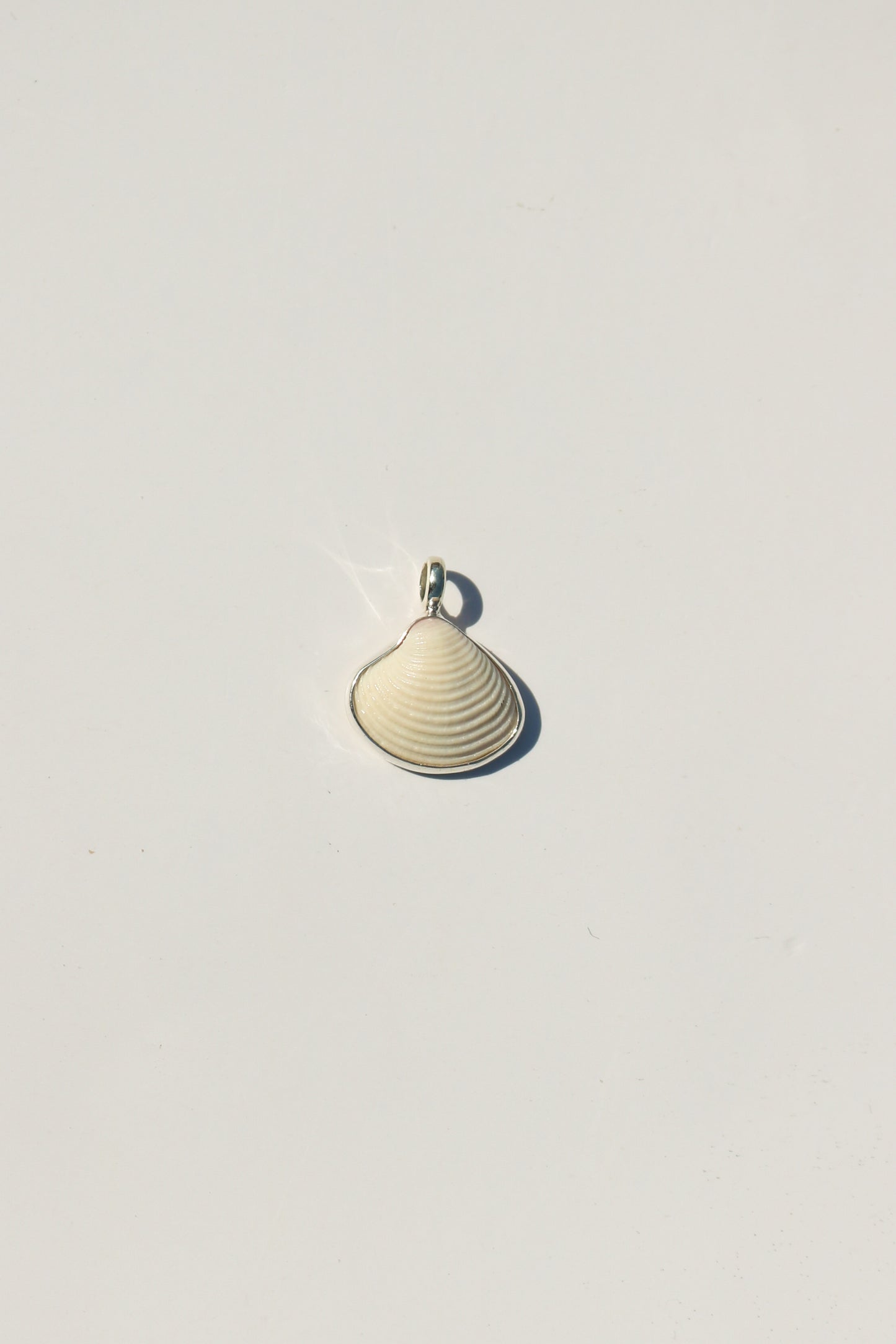 Shell Necklace
