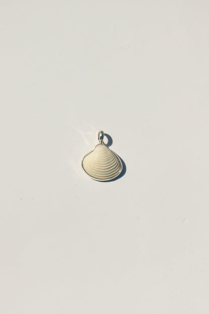 Shell Necklace