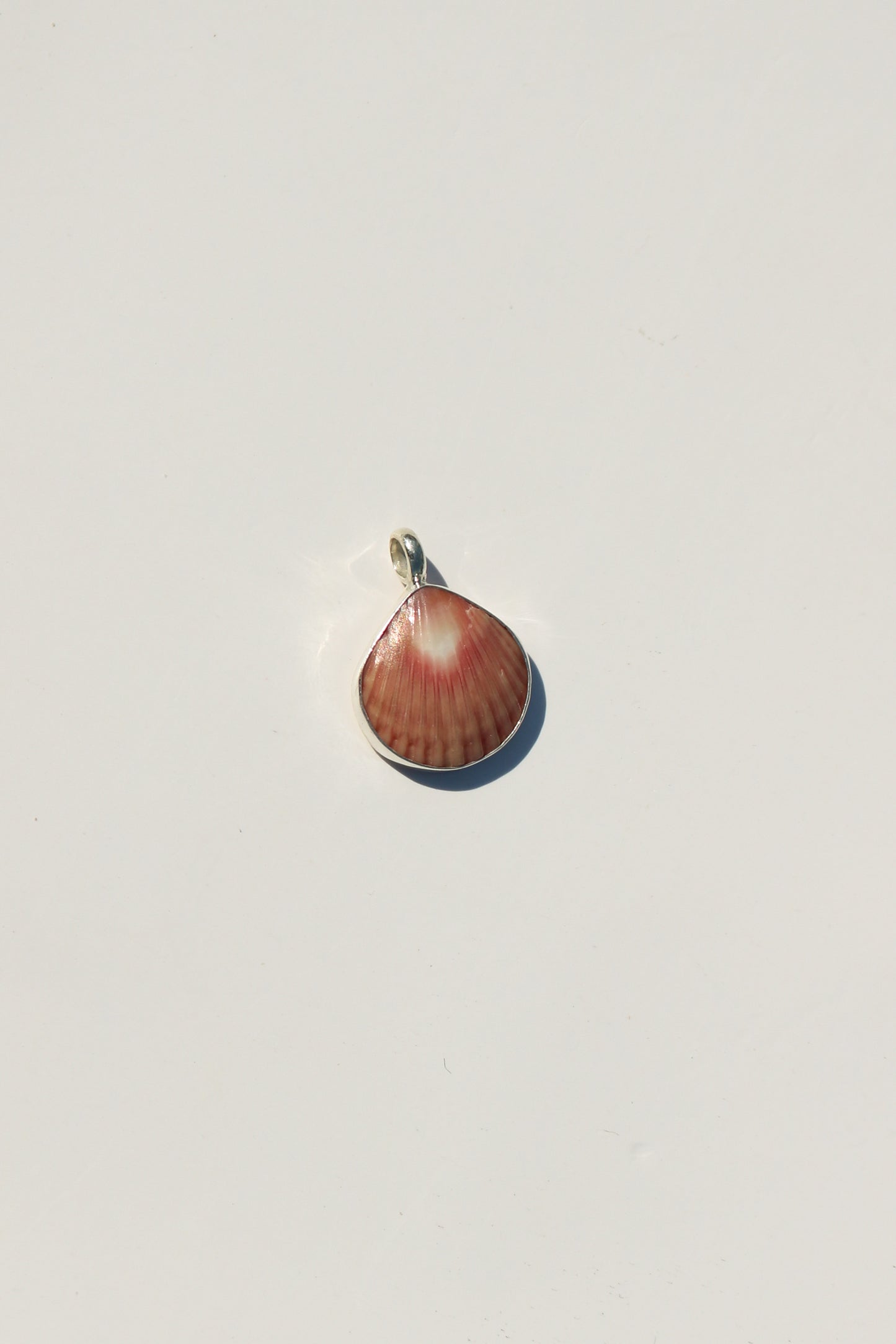 Shell Necklace