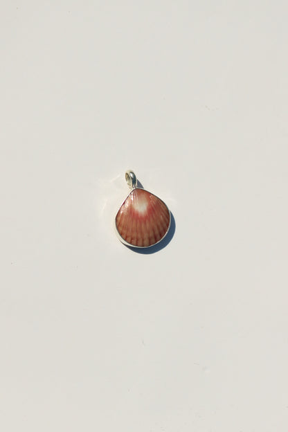 Shell Necklace