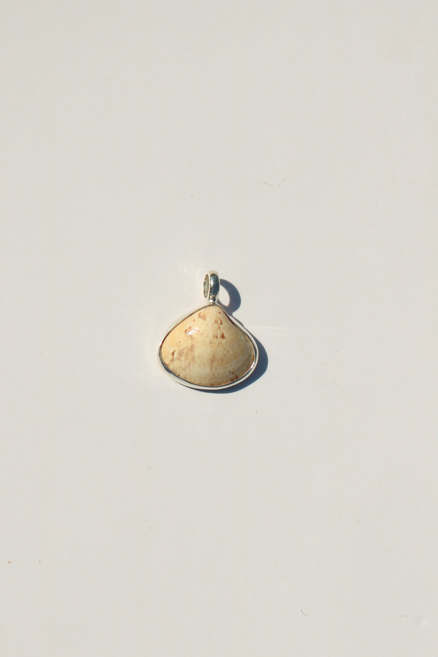 Shell Necklace