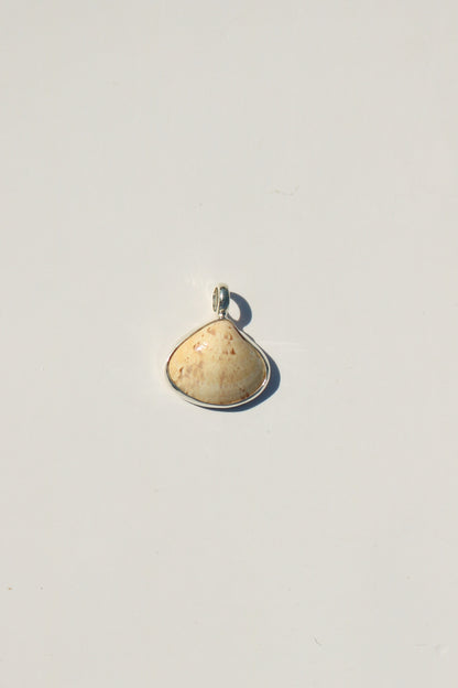 Shell Necklace
