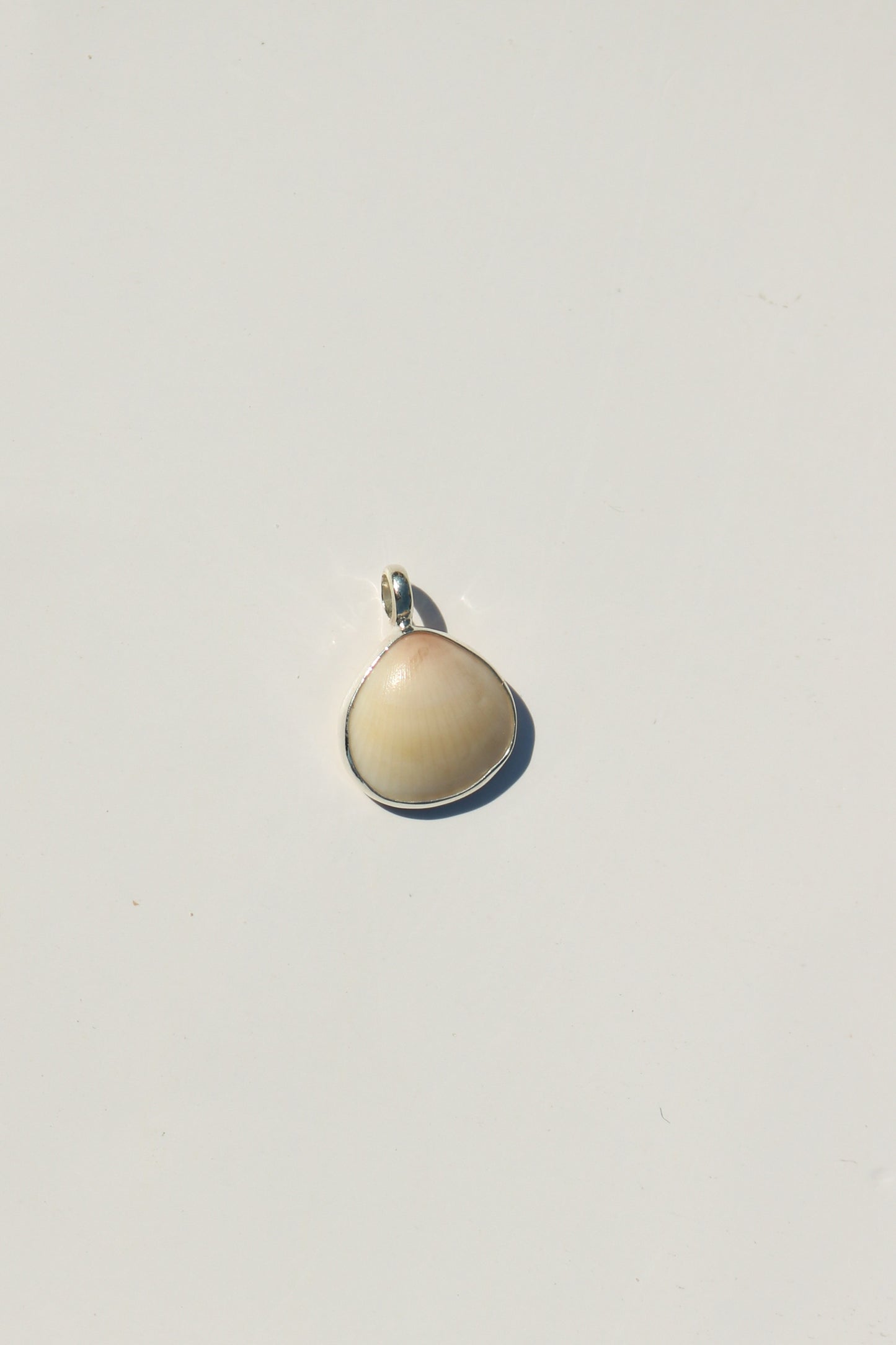 Shell Necklace