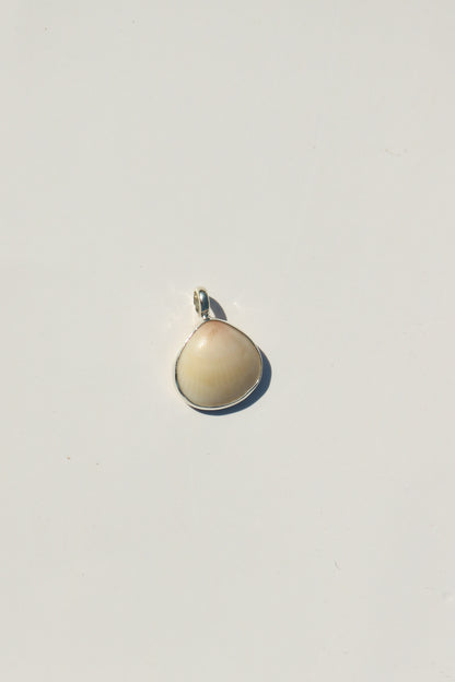 Shell Necklace