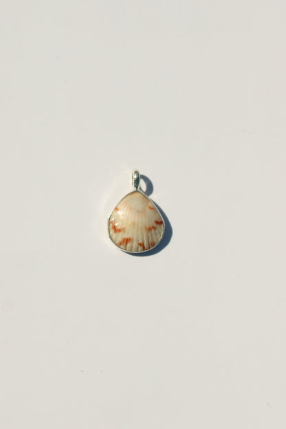 Shell Necklace