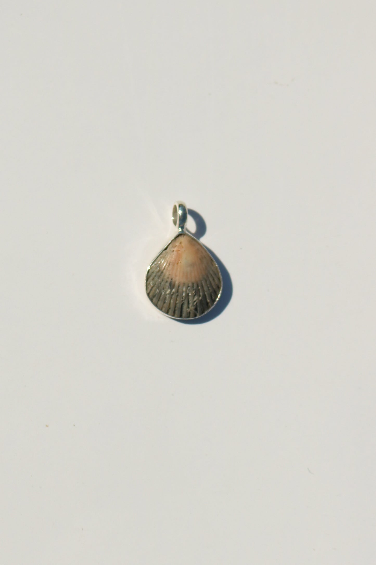 Shell Necklace