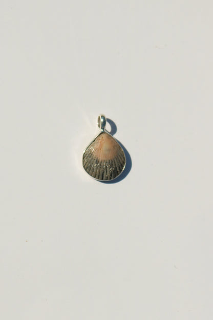 Shell Necklace