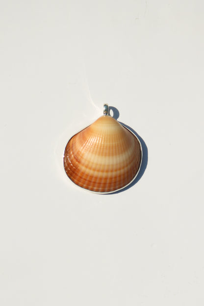 Shell Necklace