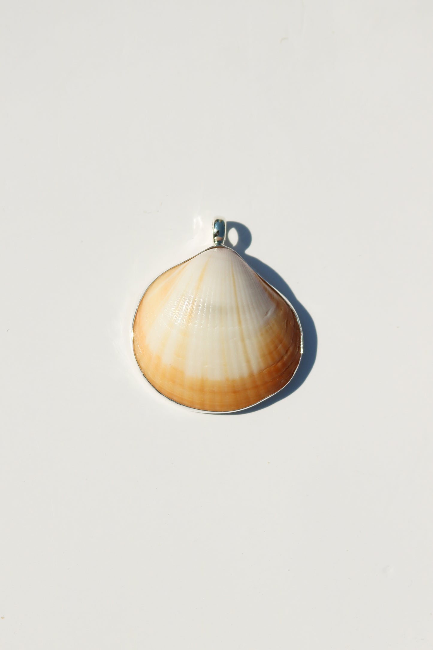 Shell Necklace