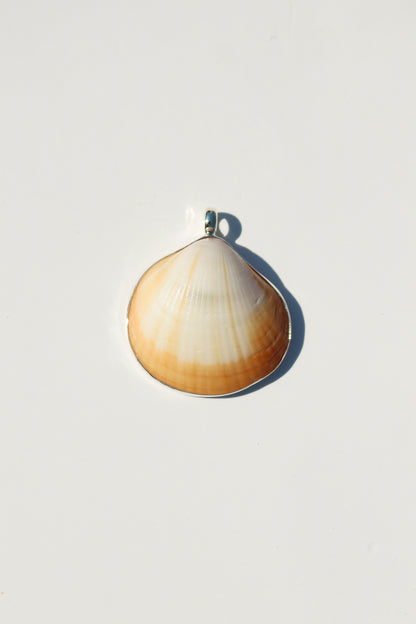 Shell Necklace