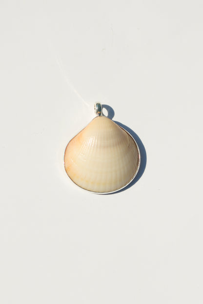 Shell Necklace
