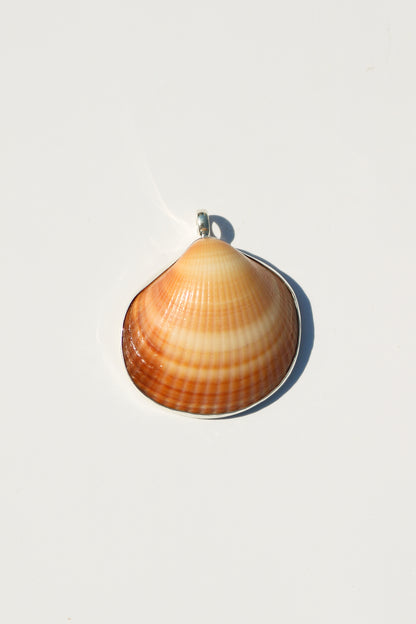 Shell Necklace