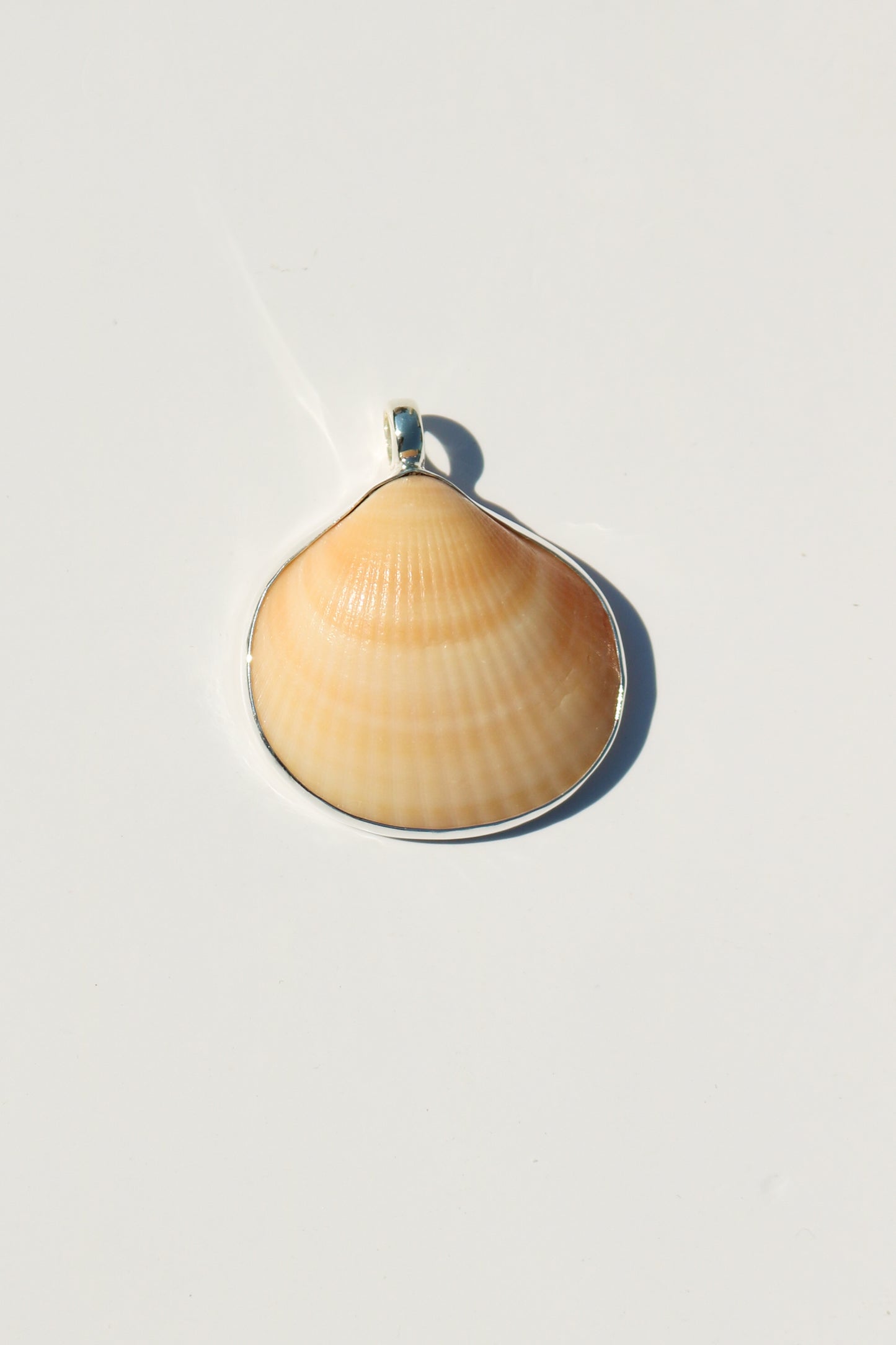 Shell Necklace