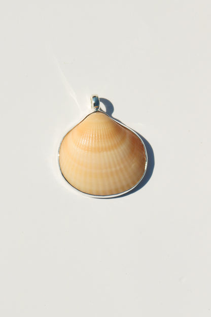 Shell Necklace