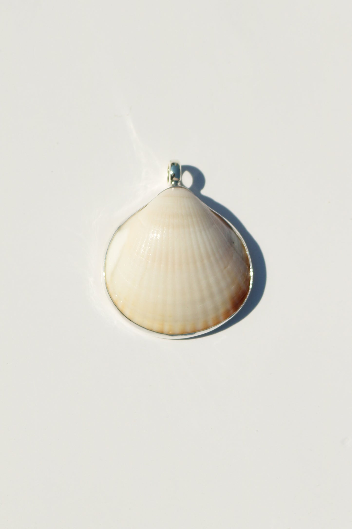 Shell Necklace