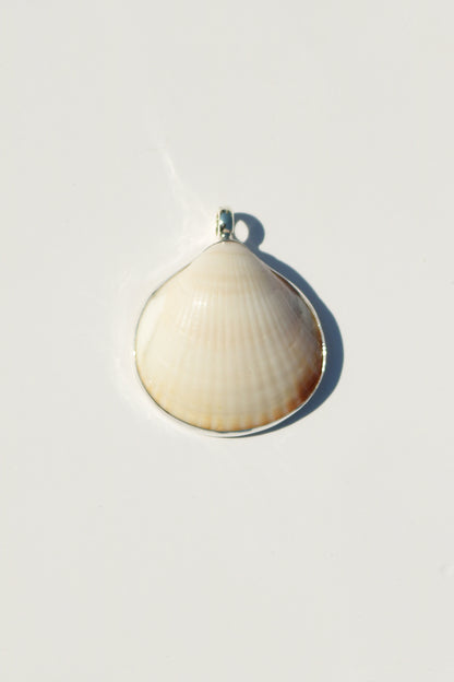 Shell Necklace