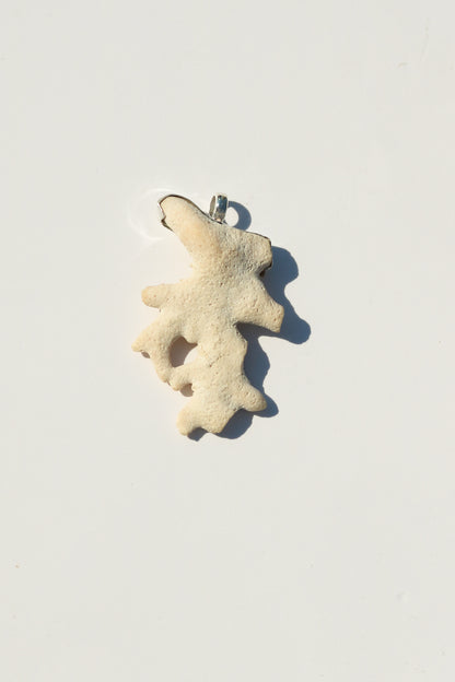 Shell Necklace