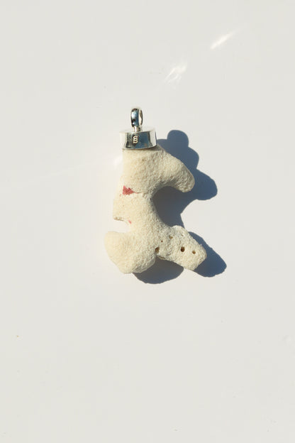 Shell Necklace