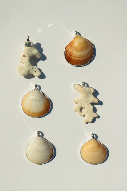 Shell Necklace