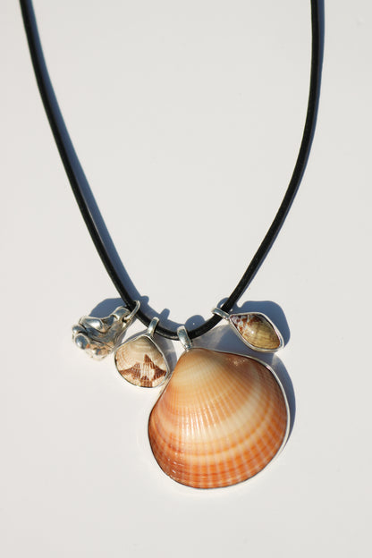 Shell Necklace