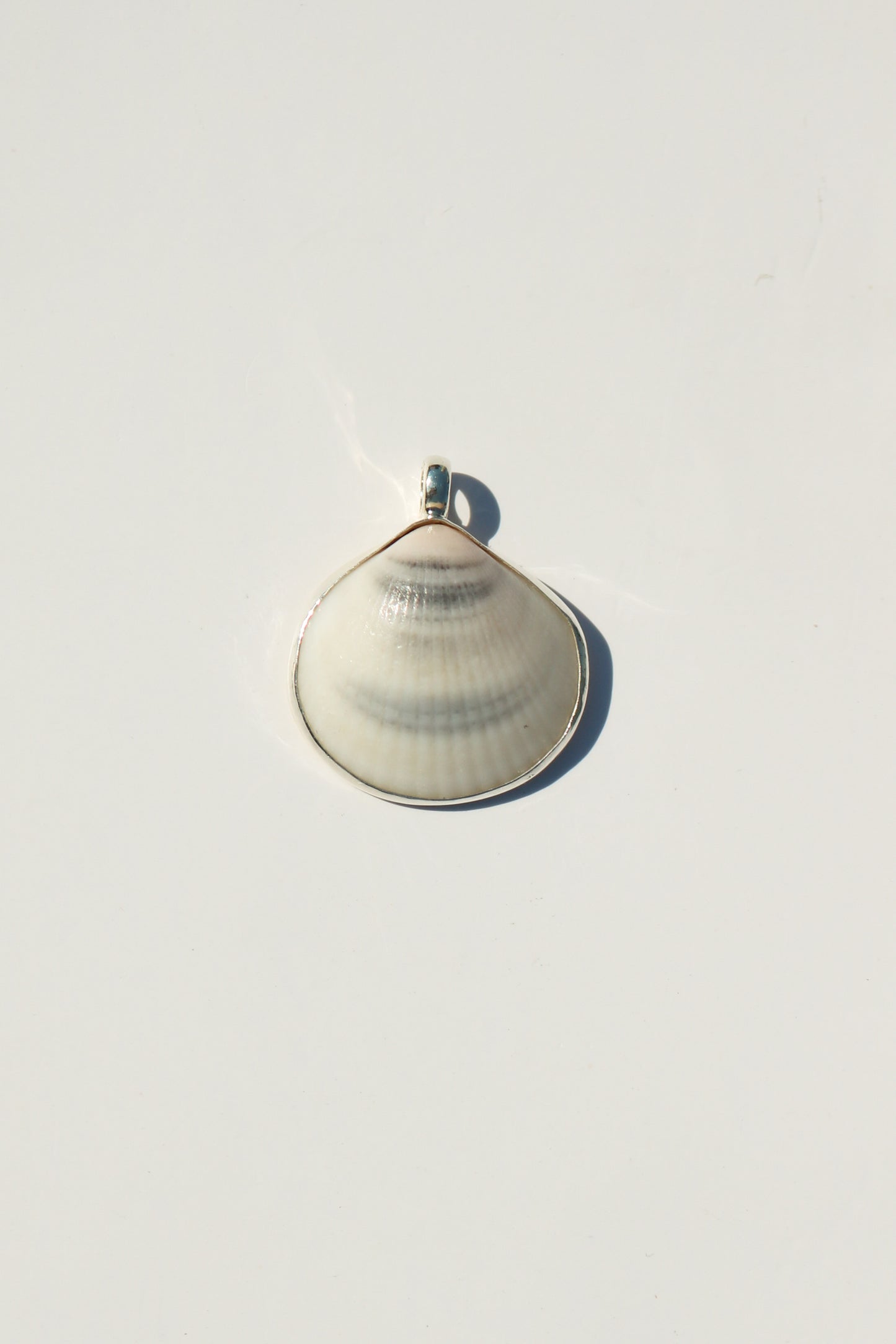 Shell Necklace