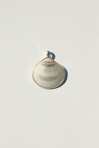 Shell Necklace