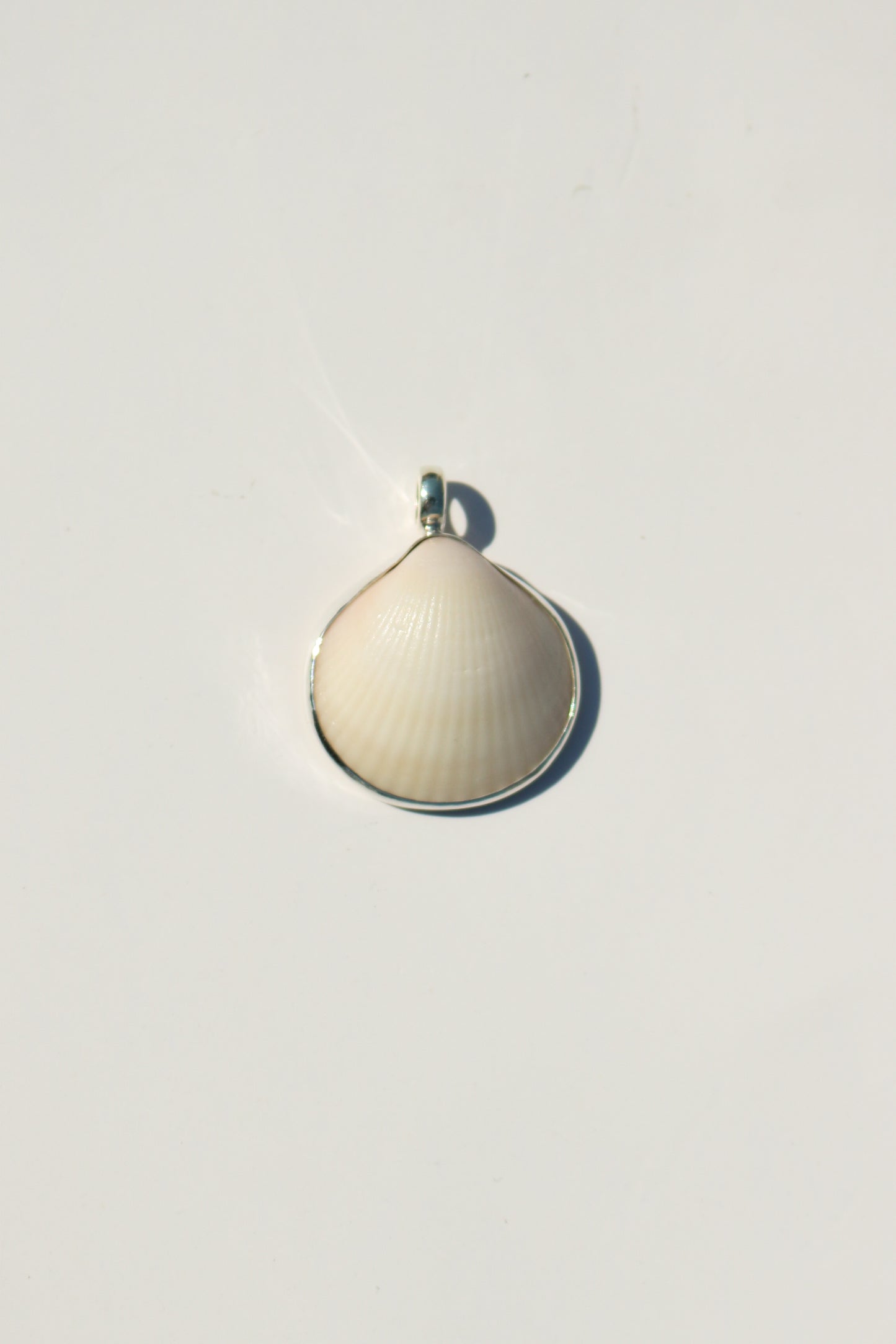 Shell Necklace