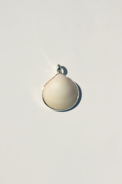 Shell Necklace