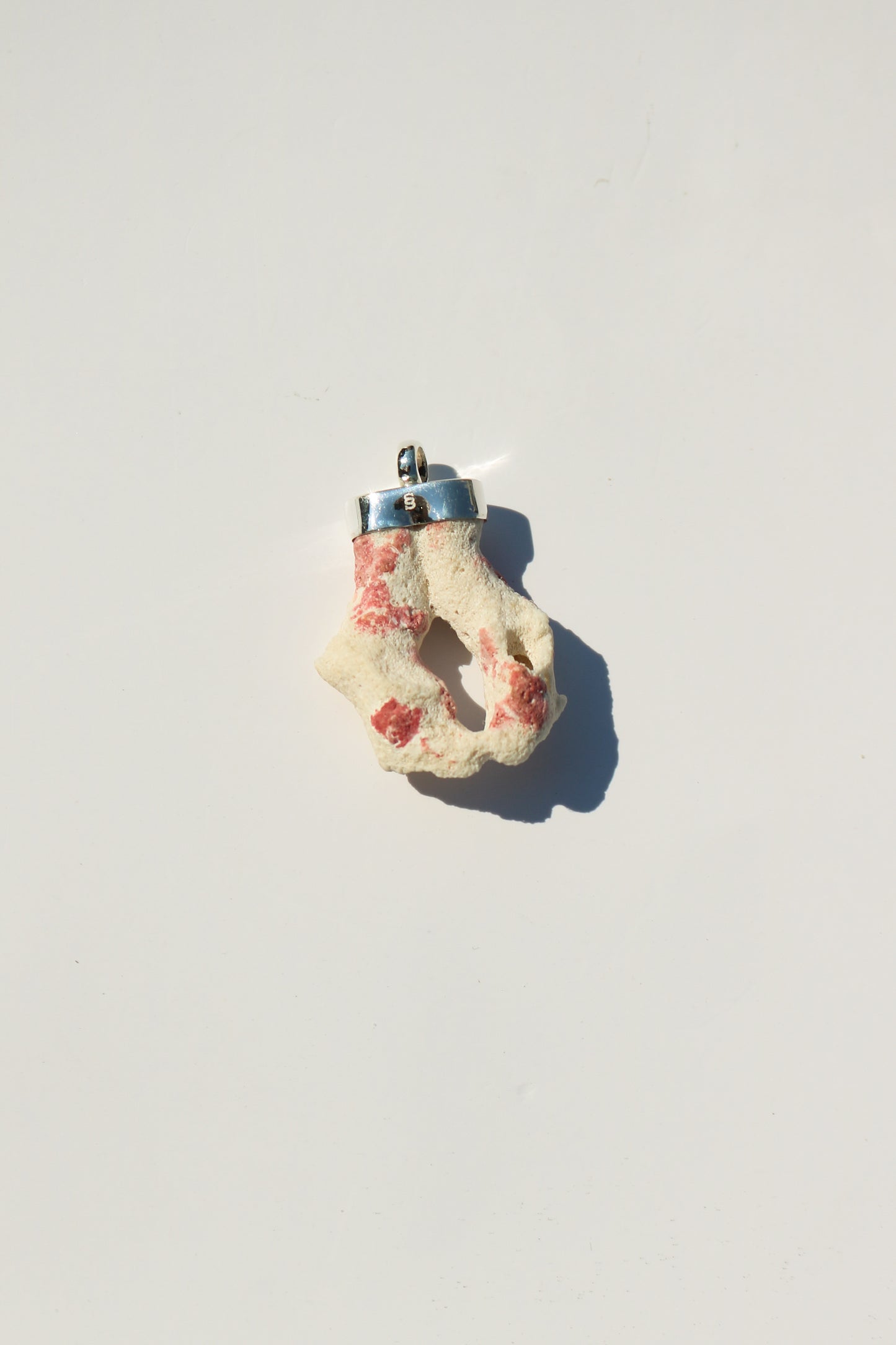 Shell Necklace
