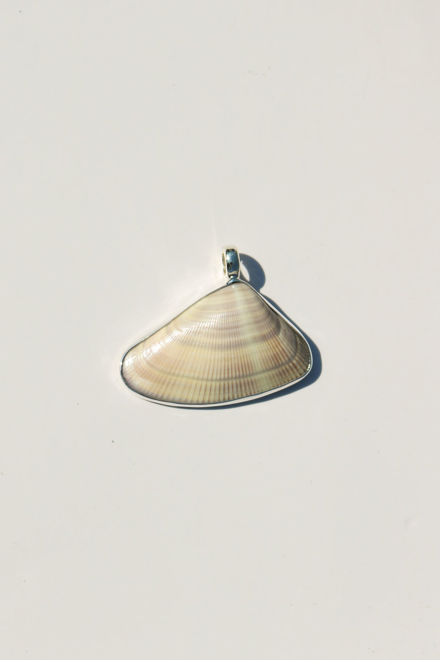 Shell Necklace