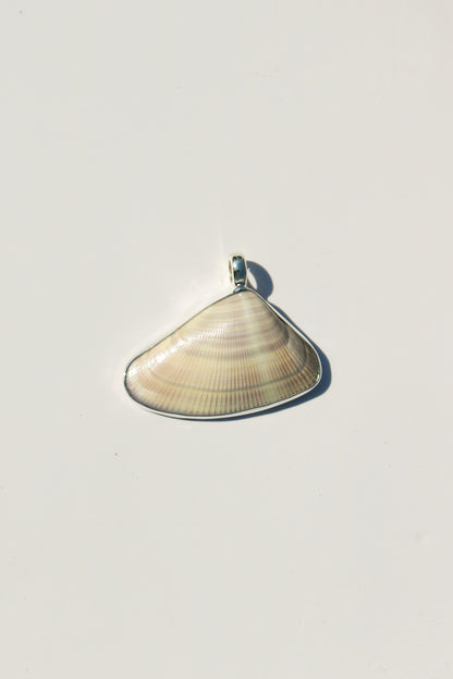Shell Necklace