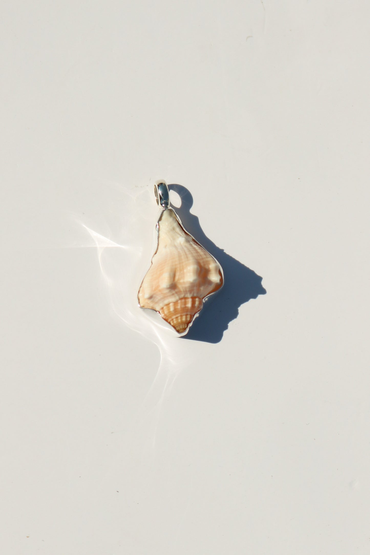 Shell Necklace