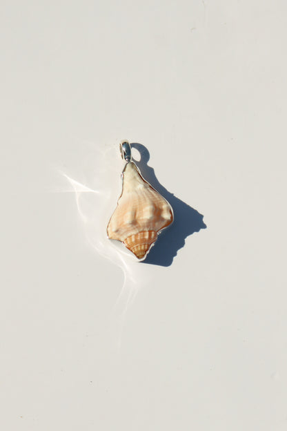 Shell Necklace