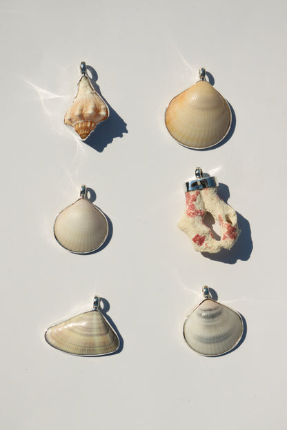 Shell Necklace