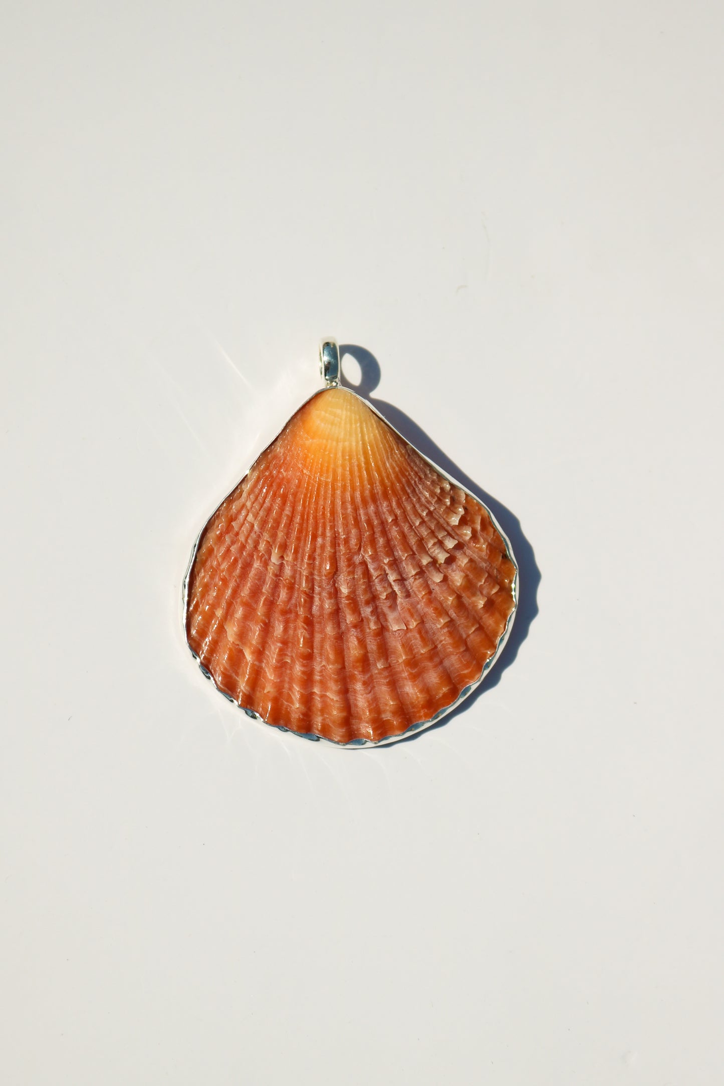 Shell Necklace