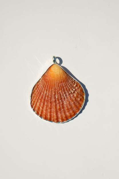 Shell Necklace
