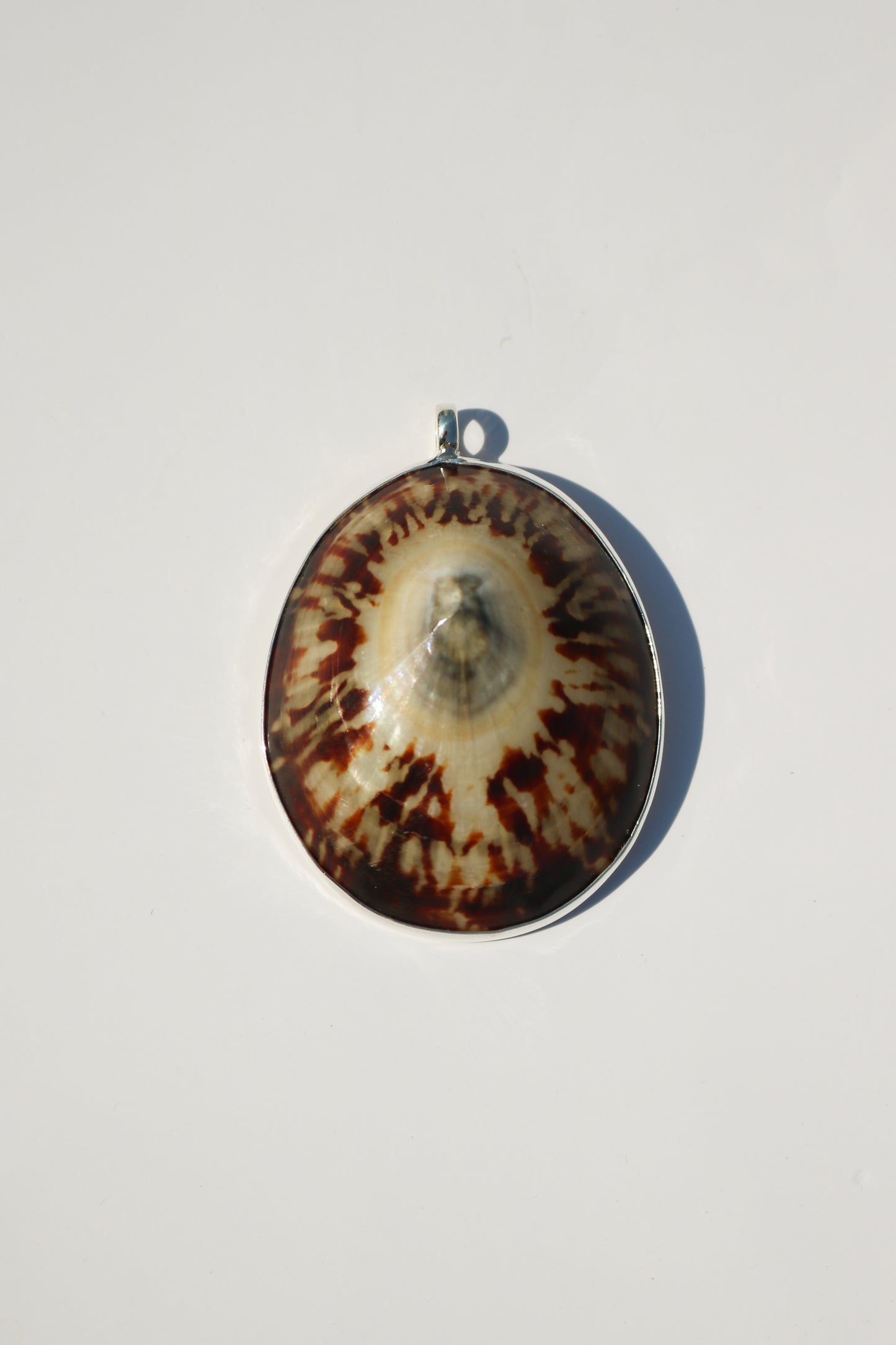Shell Necklace