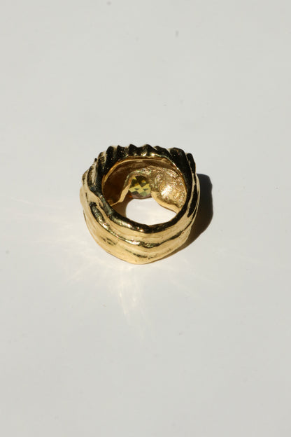 Theo Ring