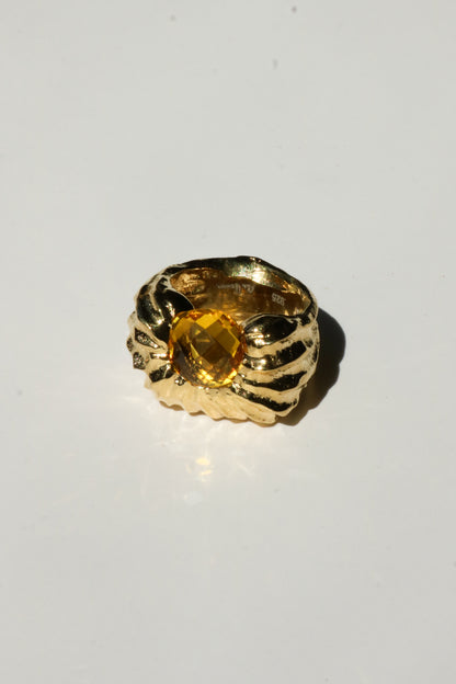 Theo Ring
