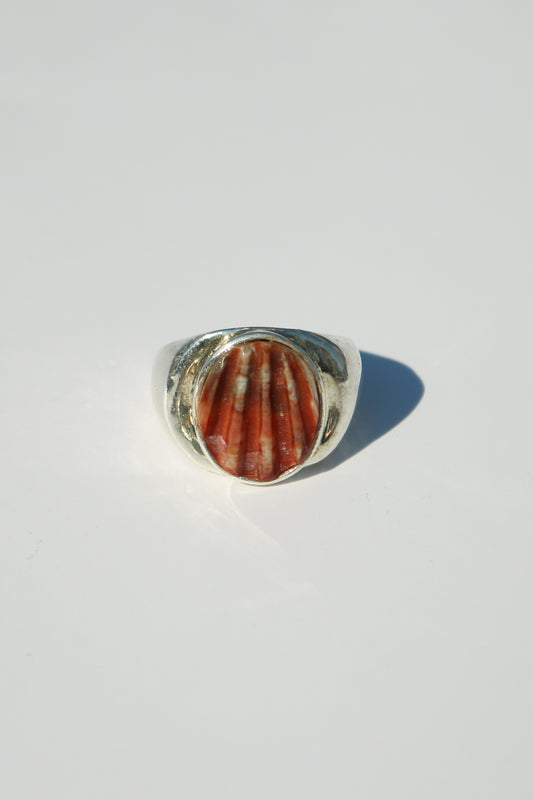 Perlmutte Australia Shell ring