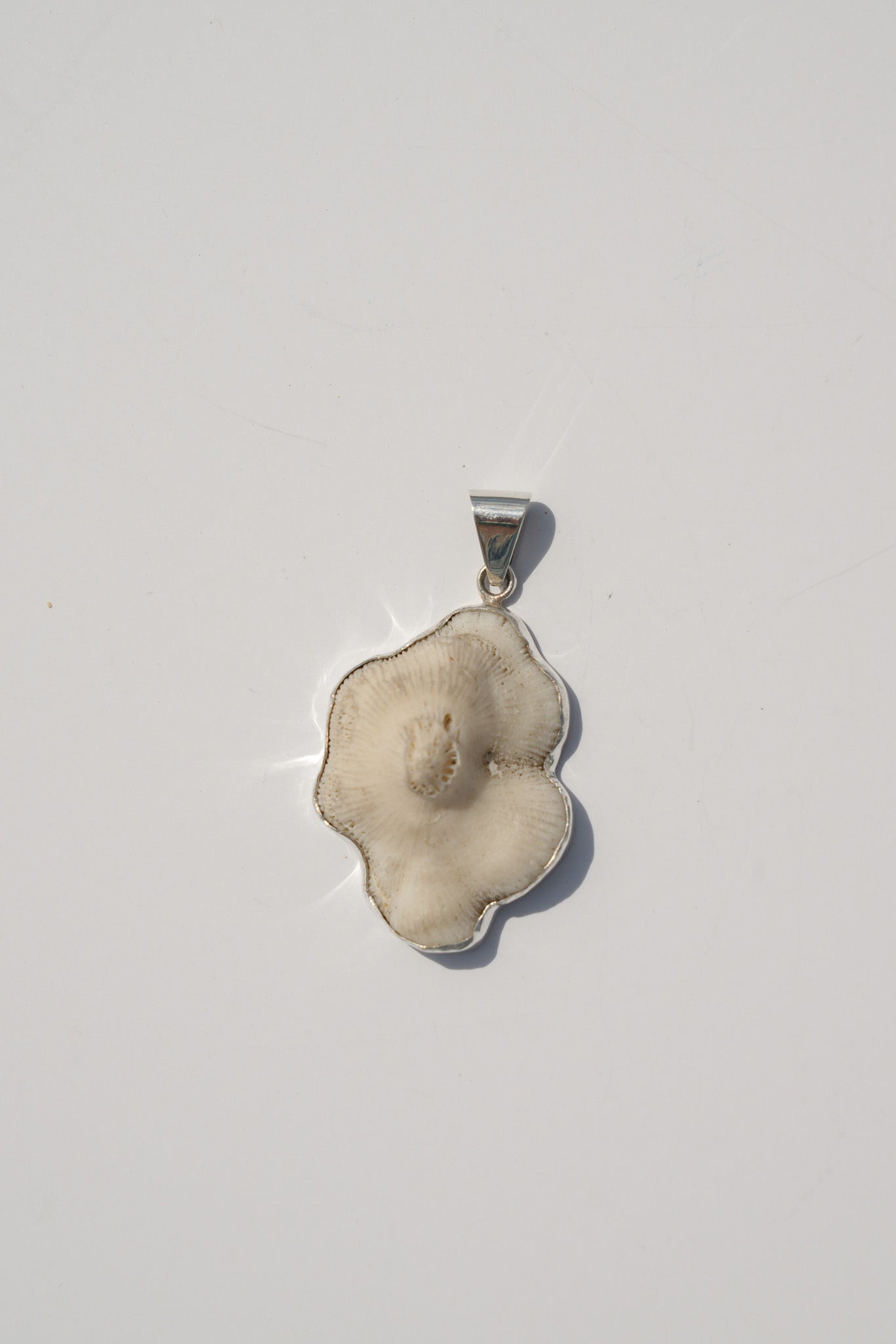 Shell Pendants