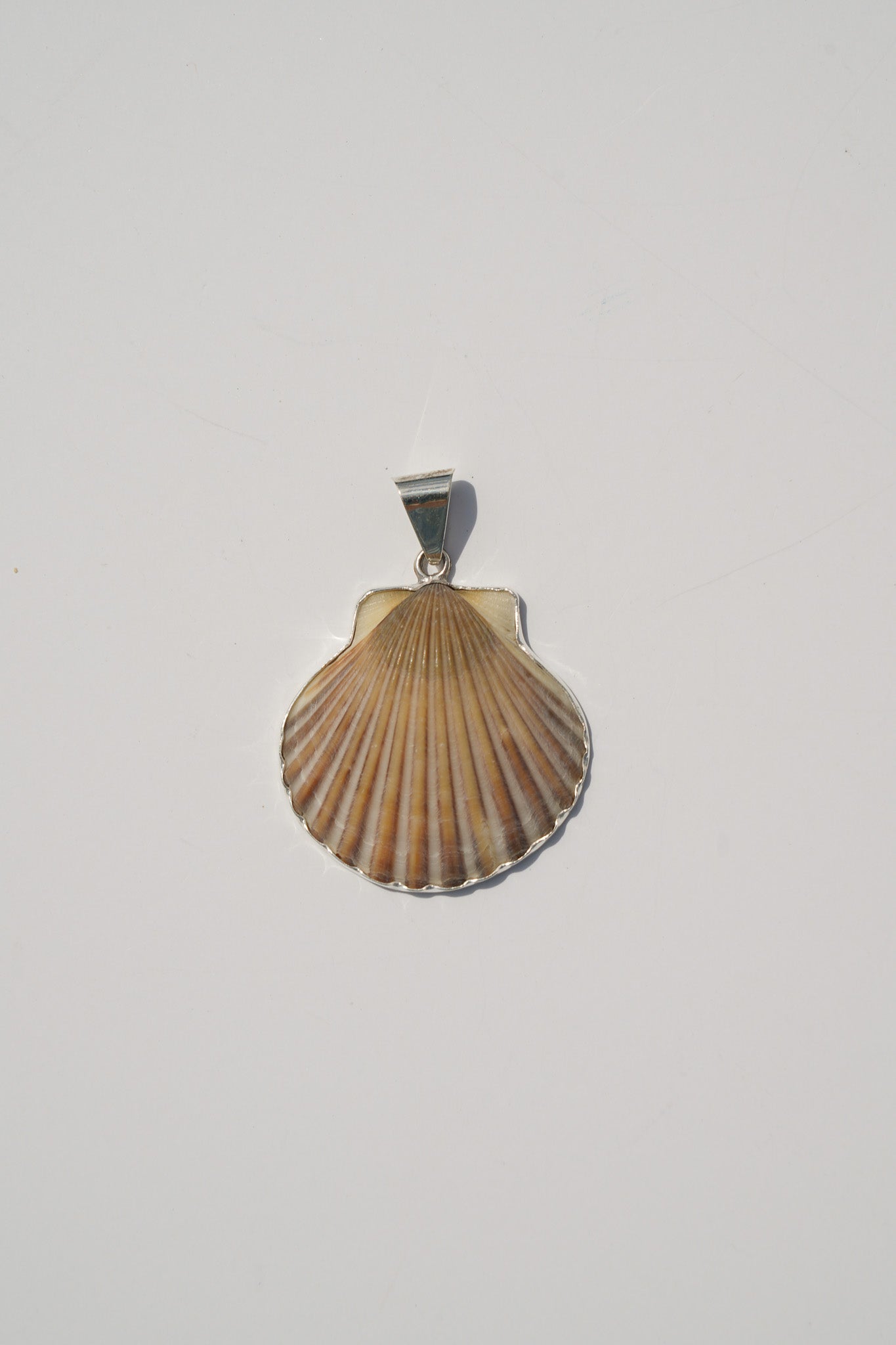 Shell Pendants