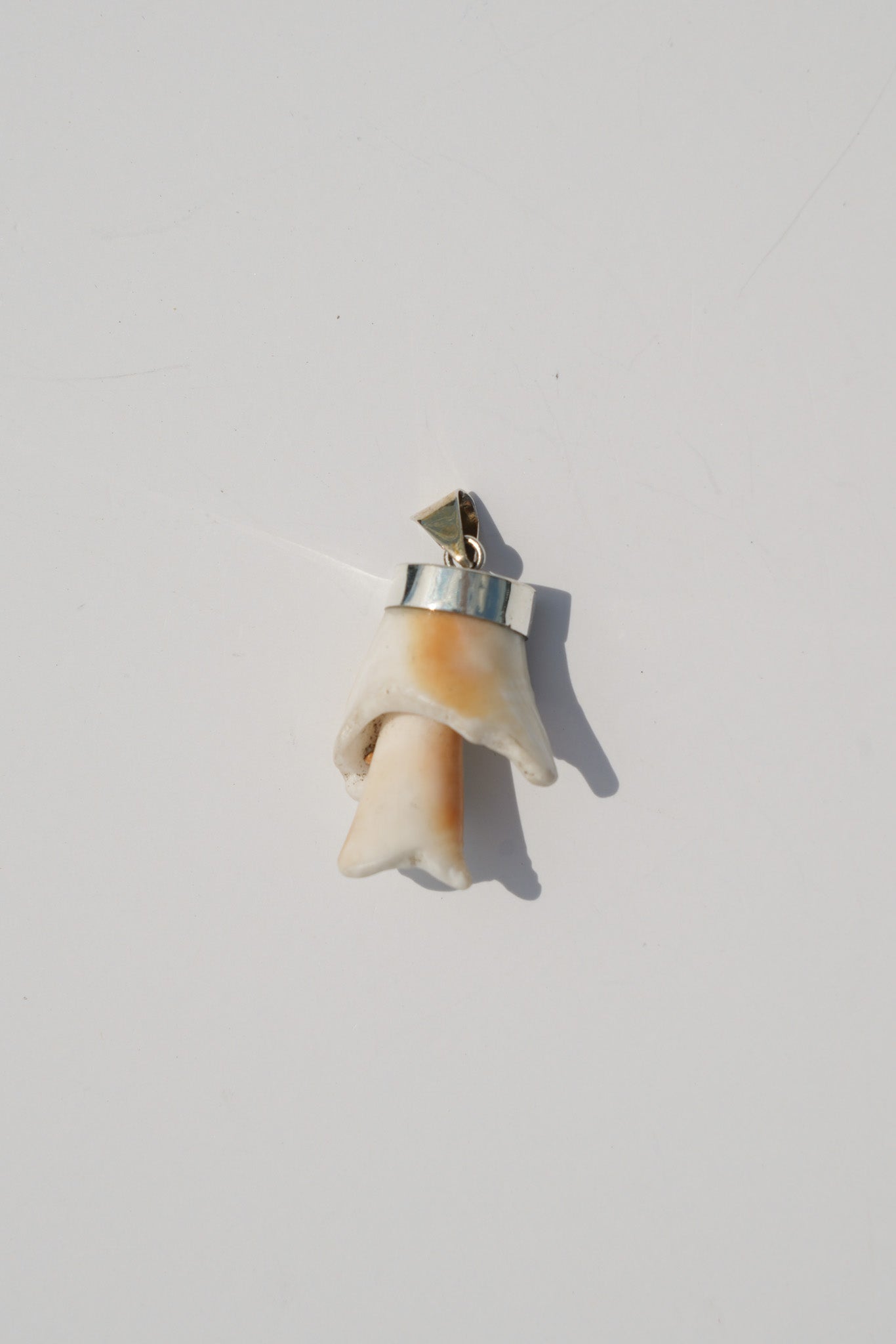 Shell Pendants