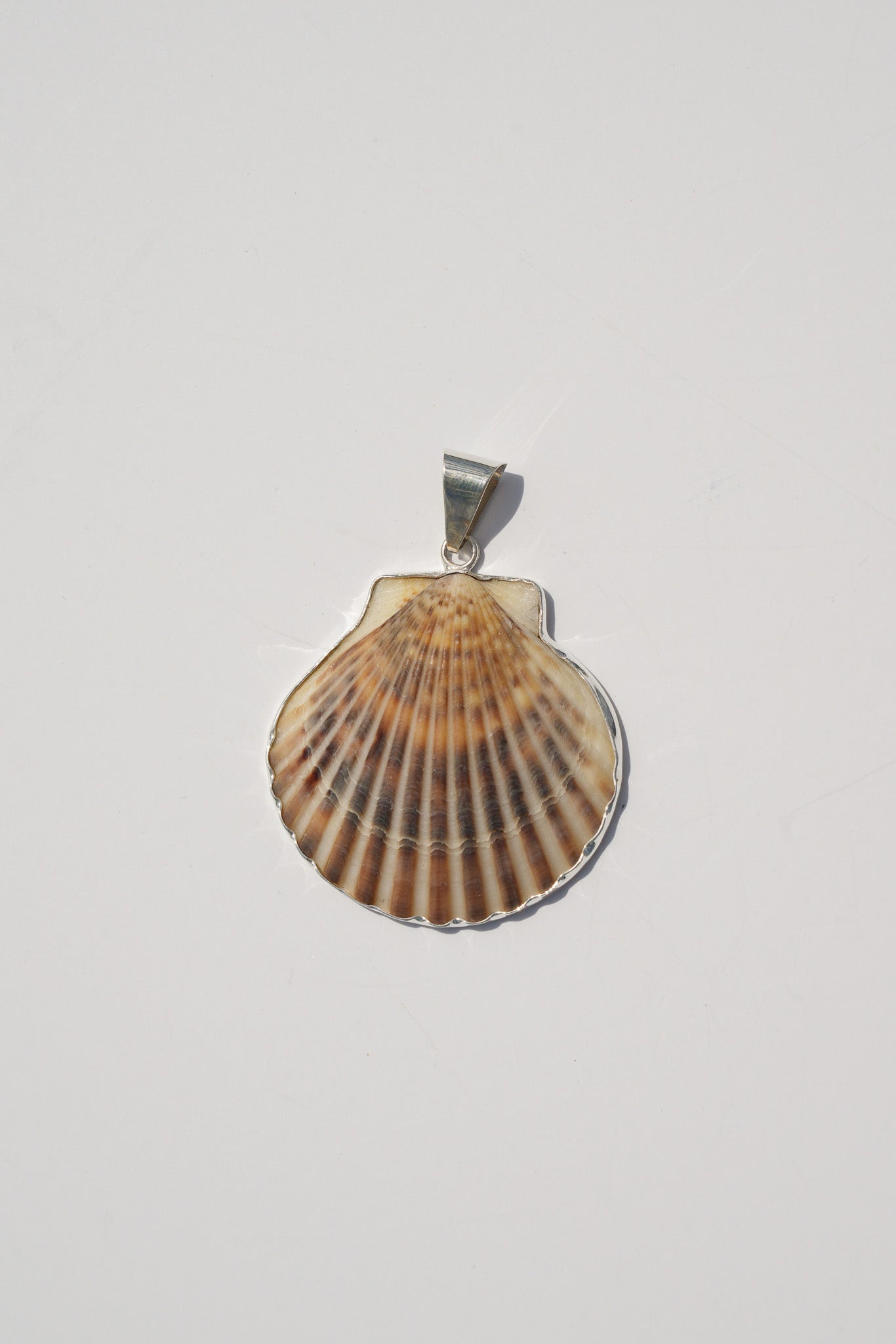 Shell Pendants